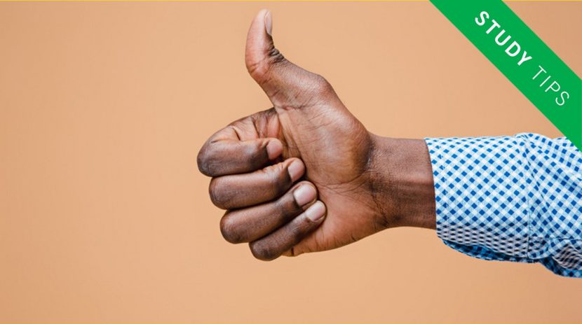 Professional Diploma