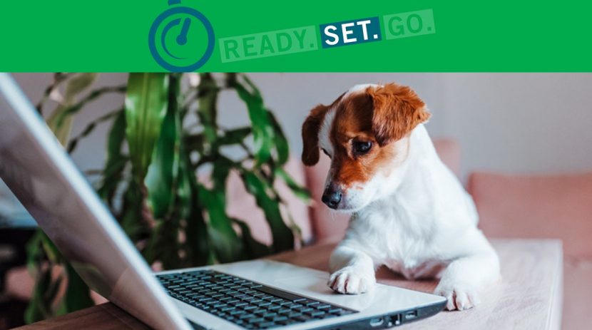 Ready Set Go (Advanced)